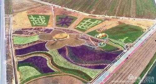 舟山网红一哥,揭秘网络红人的崛起之路