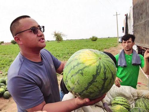 吃瓜狂热者,揭秘吃瓜狂热者的疯狂世界