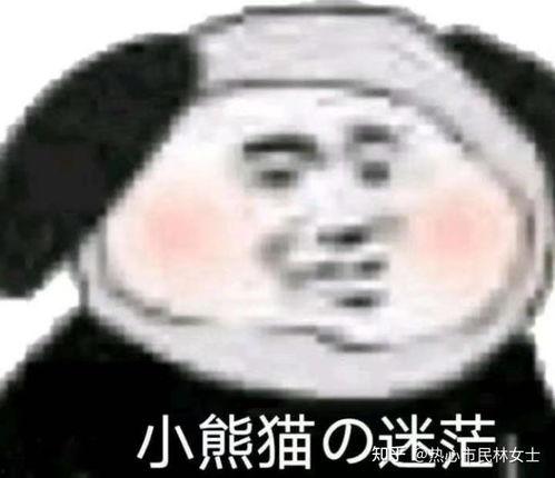 吃瓜吃光熊猫表情包,吃瓜吃光，欢乐无限