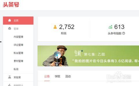 头条合集如何管理文章,头条合集高效管理文章的实用指南